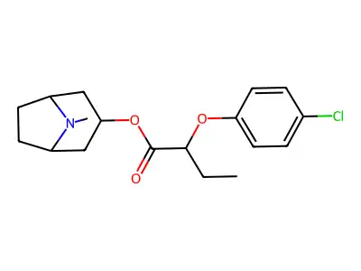 SM 21 structure