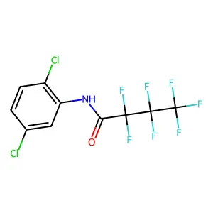 N-(2,5-Dichlorophenyl)-2,2,3,3,4,4,4-heptafluorobutanamide structure