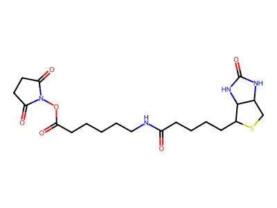Biotin-X-NHS structure