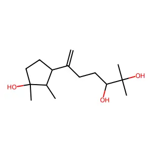 Chokol E structure