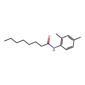 2',4'-Octanoxylidide structure
