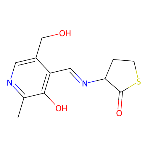 N-pyridoxylidene-3-aminotetrahydrothiophene-2-one structure