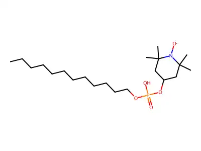 AN 12 structure