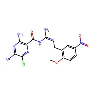 2'-Methoxy-5'-nitrobenzamil structure