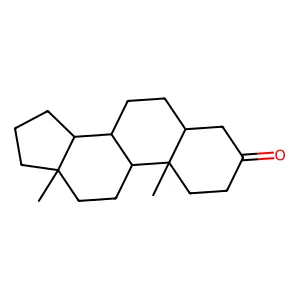 Androstan-3-one structure