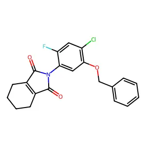 2-(4-chloro-2-fluoro-5-phenylmethoxyphenyl)-4,5,6,7-tetrahydroisoindole-1,3-dione structure