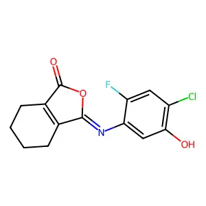 3-(4-Chloro-2-fluoro-5-hydroxyphenyl)imino-4,5,6,7-tetrahydro-2-benzofuran-1-one structure