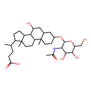 Glcnac-udca structure