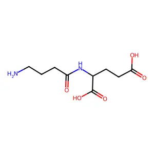 N-(γ-氨基丁酰)谷氨酸 structure