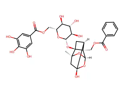 Paeoniflorin, galloyl- structure