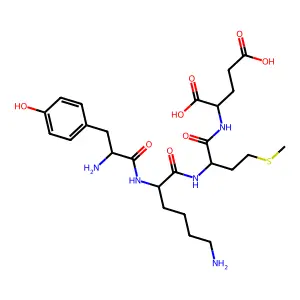 MSH, beta, (5-8) structure