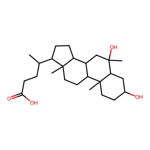 6-Methylmurideoxycholic acid structure