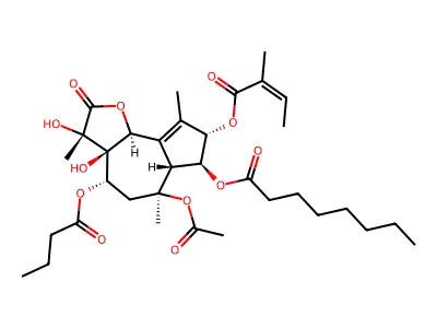 Thapsigargin structure