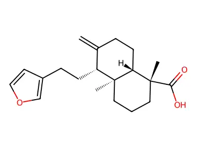 兰伯酸 structure