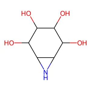 Conduritol aziridine structure