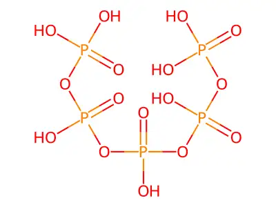 Pentaphospholane structure