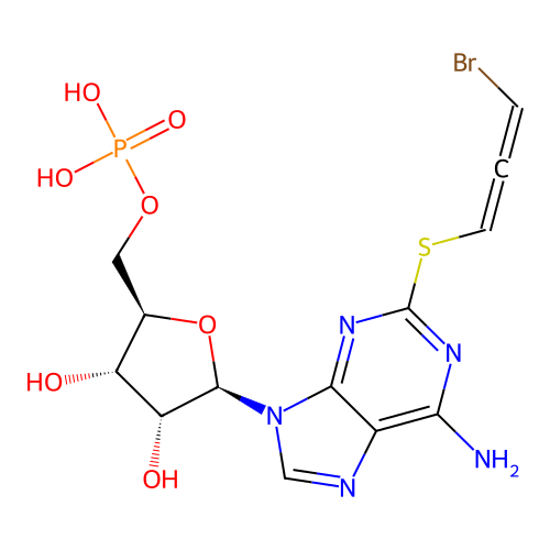2-Bop-tcamp structure