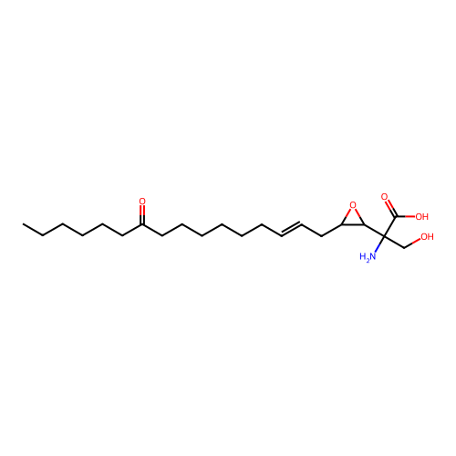 Flavovirin structure