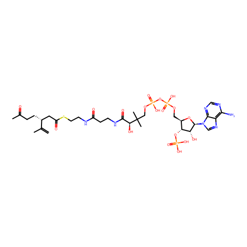 (3R)-3-Isopropenyl-6-oxoheptanoyl-CoA structure