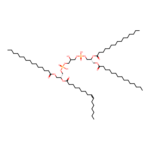 CL(61:0) structure