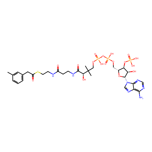 3-Tolylacetyl-coenzyme A structure
