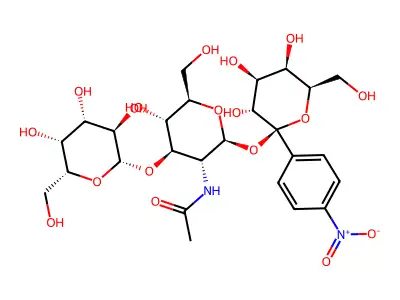 NGGG structure