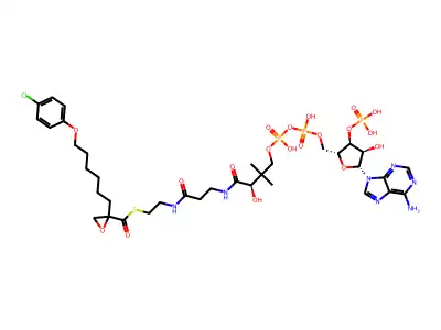 etomoxiryl-coenzyme A structure