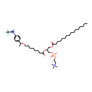 Ptfdpugp structure