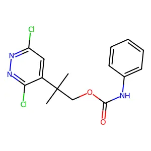 (2-(3,6-Dichloropyridazin-4-yl)-2-methylpropyl) N-phenylcarbamate structure