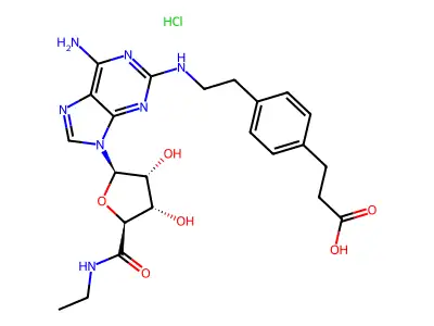 Cgs 21680 structure