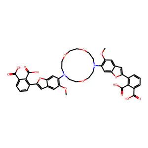 Sodium-binding benzofuran phthalate structure