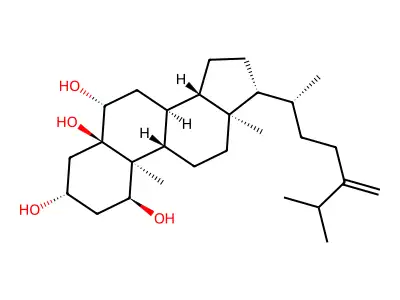 24-MCTT structure