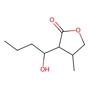 IM 2 Autoregulator structure