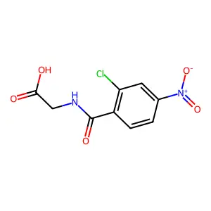 (2-Chloro-4-nitrobenzoyl)glycine structure