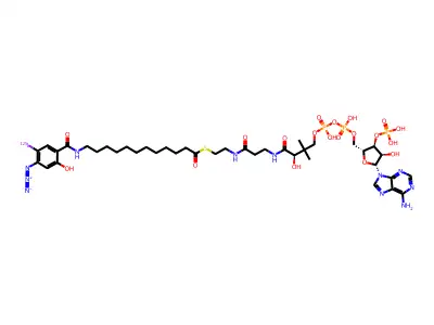 12-((4-Azido-5-iodo-2-hydroxybenzoyl)amino)dodecanoate-coenzyme A structure