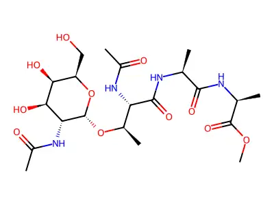 Atgaaam structure