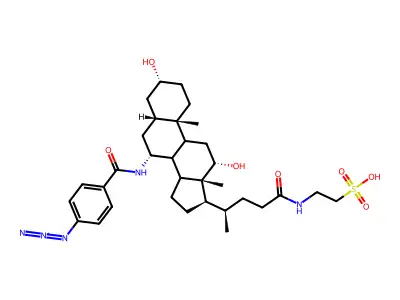 Azidobenzamidotaurocholate structure
