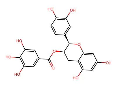Epicatechin Gallate structure