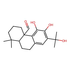 Euphracal structure
