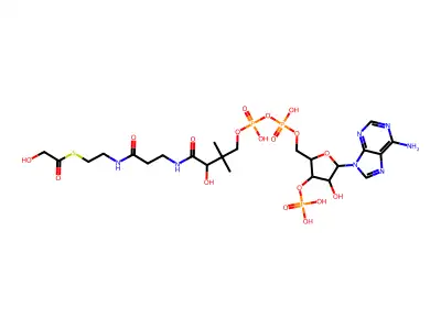 glycoyl-coenzyme A structure