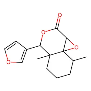 Dihydrocalodendrolide structure