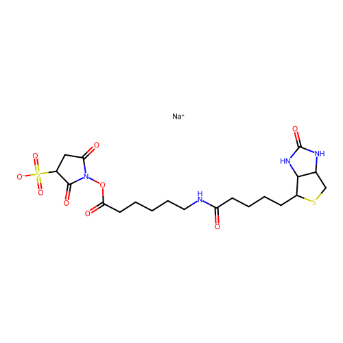 Sulfo-N-succinimidyl 6-(biotinamido) hexanoate, sodium salt structure
