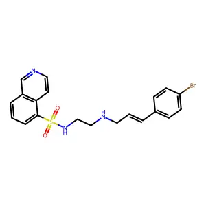 N-[2-(4-溴肉桂氨基)乙基]异喹啉-5-磺酰胺 structure