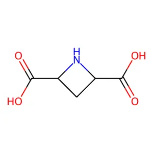 氮杂环丁烷-2,4-二甲酸 structure