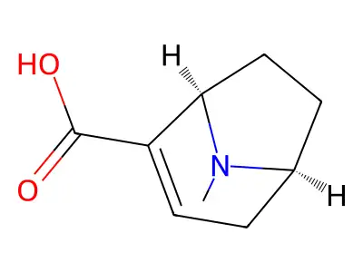 (1R)-8-Methyl-8-azabicyclo[3.2.1]oct-2-ene-2-carboxylic acid structure