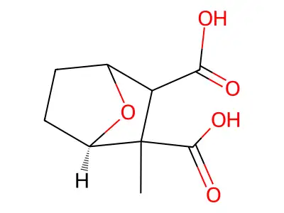 7-Oxabicyclo(2.2.1)heptane-2,3-dicarboxylic acid, 2-methyl-, (exo,exo)- structure