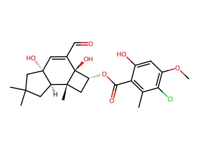 Tetrahydrobenzothiazole deriv. structure