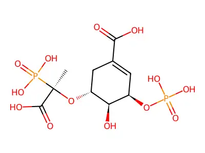 1x8t structure