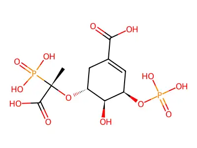 1x8r structure
