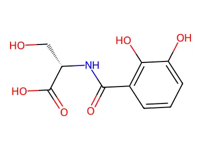 2,3-Dihydroxybenzoylserine structure